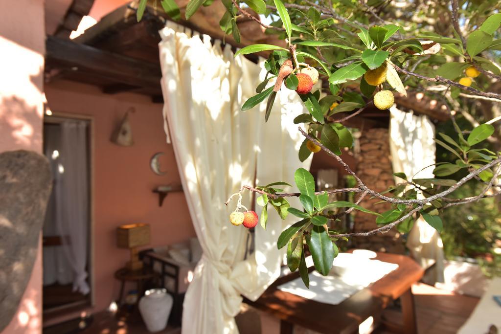 Bed & Breakfast Yin & Yang San Pantaleo Kültér fotó